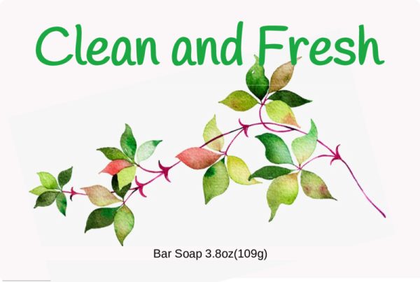 Clean And Fresh Bar Soap - Image 2